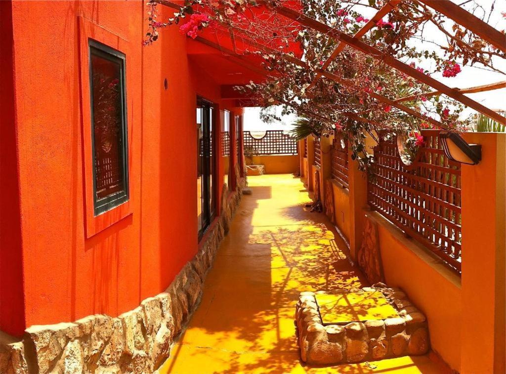 Surfactivity Guest House Santa Maria Dış mekan fotoğraf